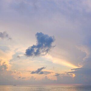 Meet your Posher, Dain